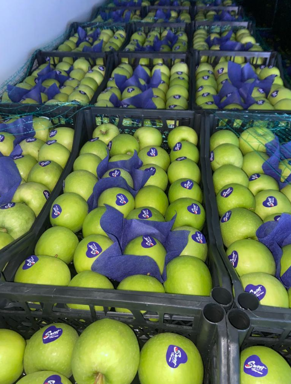 Fruits