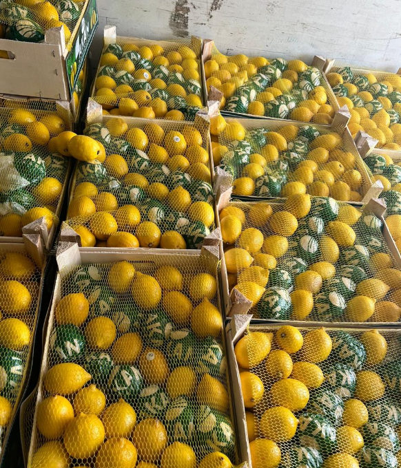 Fruits